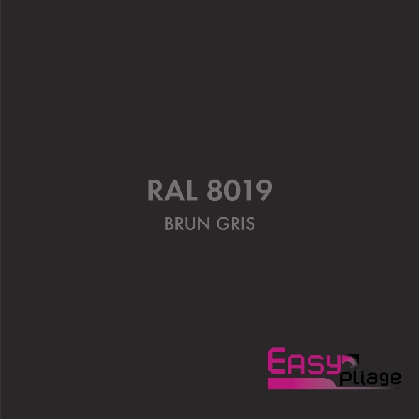 RAL 8019