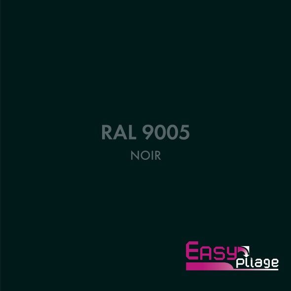 RAL 9005