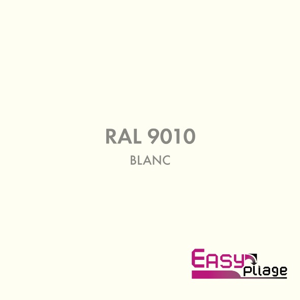 RAL 9010